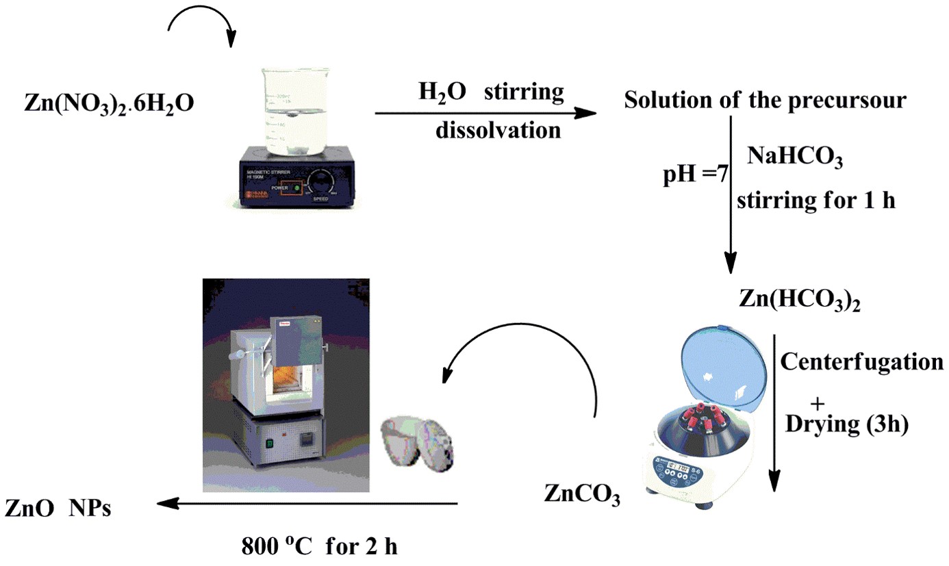 Tailoring of Novel Azithromycin-Loaded Zinc Oxide Nanoparticles for Wound Healing